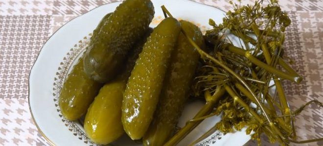 соленые огурцы с уксусом на зиму соленые огурцы с уксусом на зиму