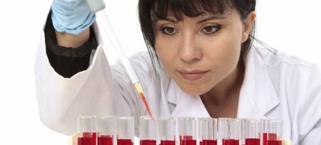 высокий гемоглобин у женщин причины высокий гемоглобин у женщин причины