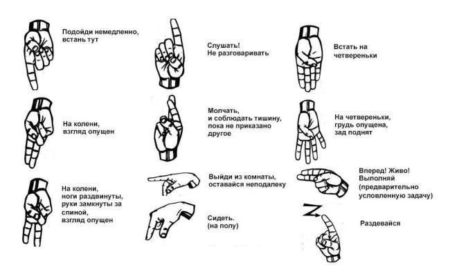 жесты для сабмиссива жесты для сабмиссива