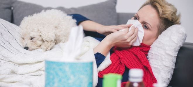 аллергия на шерсть препараты аллергия на шерсть препараты