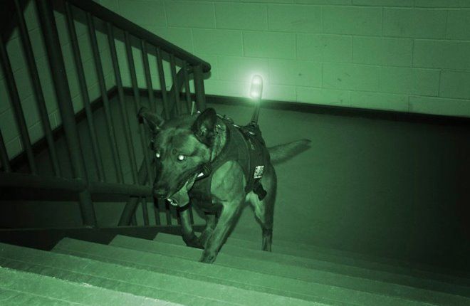 как работает прибор ночного видения как работает прибор ночного видения