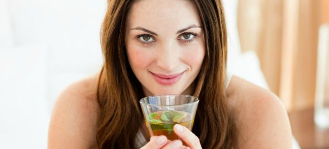 кошачий коготь применение кошачий коготь применение