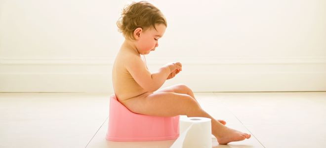 лямблии в кале у ребенка лямблии в кале у ребенка