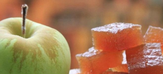 мармелад из яблок мармелад из яблок