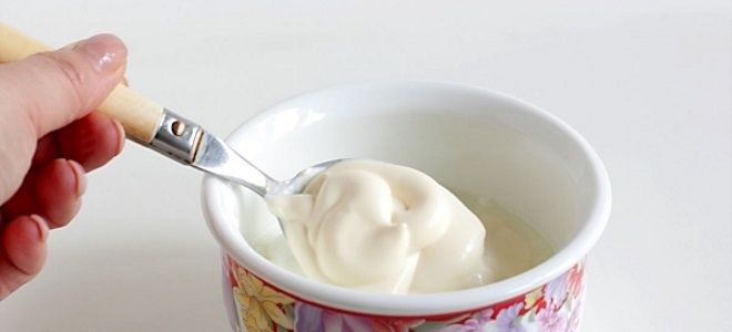 майонез из йогурта майонез из йогурта