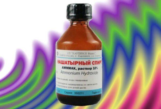 Нашатырный спирт от луковой мухи Нашатырный спирт от луковой мухи