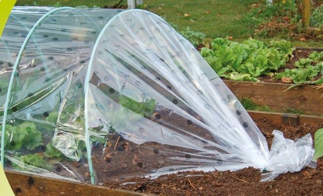 парниковая полиэтиленовая пленка парниковая полиэтиленовая пленка