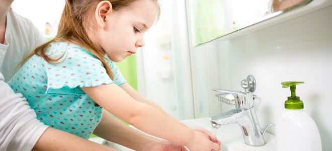 профилактика лямблиоза у детей профилактика лямблиоза у детей