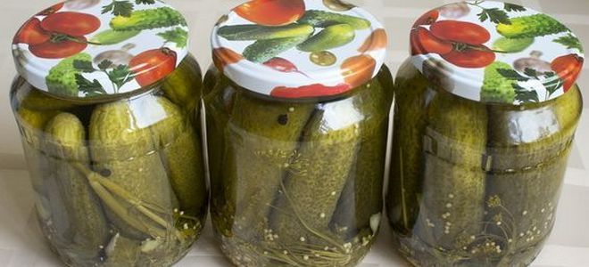 фото5 рецепт соления огурцов с лимонной кислотой