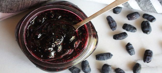 варенье птиминутка из жимолости на зиму варенье птиминутка из жимолости на зиму