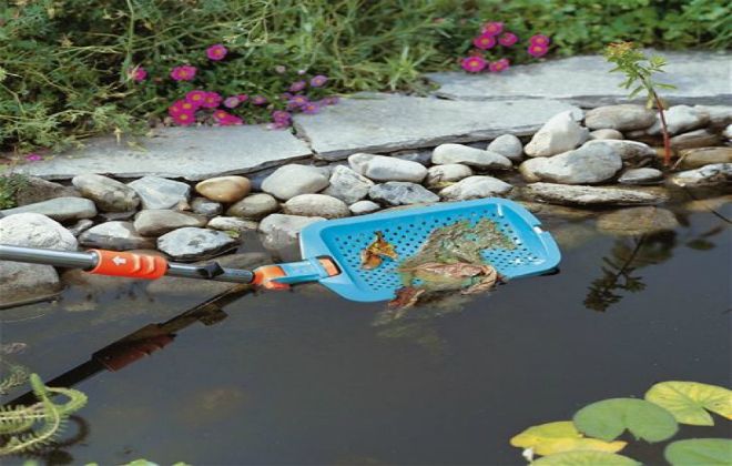 как ухаживать за прудом из пленки как ухаживать за прудом из пленки