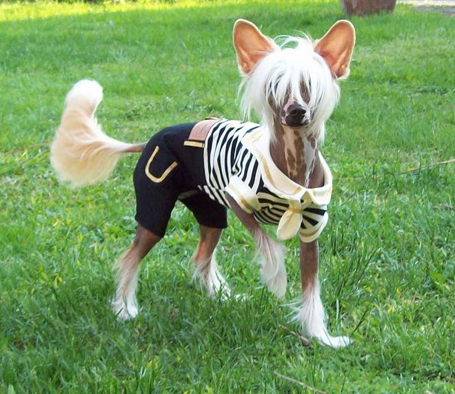 летний костюм летний костюм