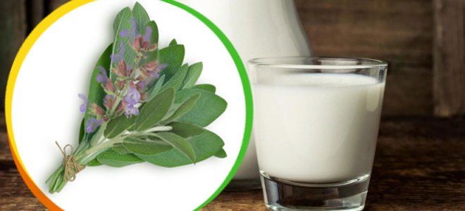 народные средства от кашля для детей народные средства от кашля для детей