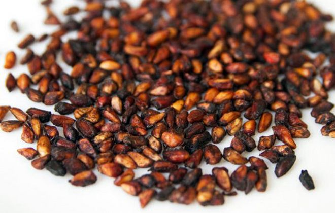 полезные свойства косточек граната полезные свойства косточек граната