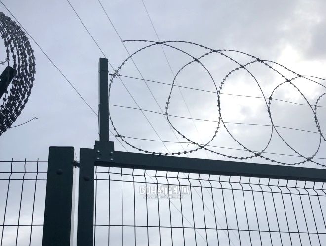 прямые прямые