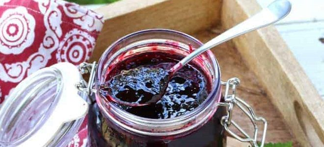 рецепт джема из жимолости на зиму рецепт джема из жимолости на зиму