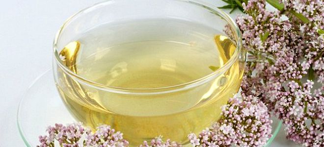 самые эффективные народные снотворные средства самые эффективные народные снотворные средства