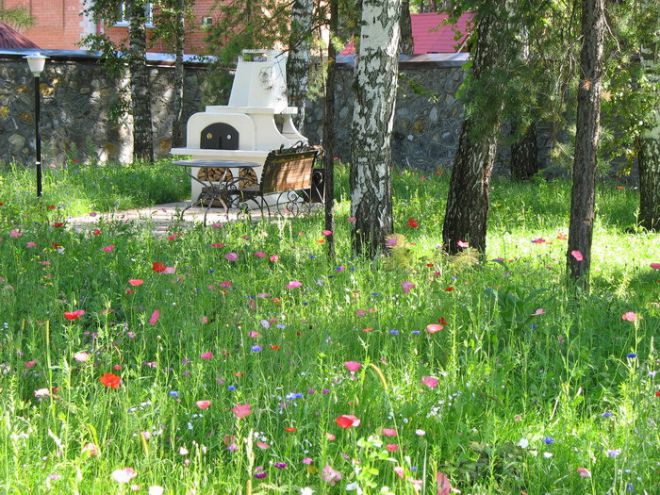 деревья мавританского газона деревья мавританского газона