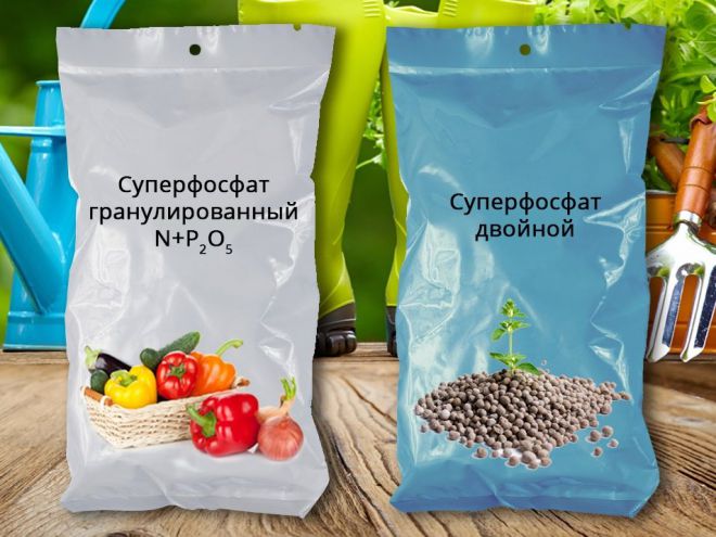 Фосфорные удобрения для винограда Фосфорные удобрения для винограда