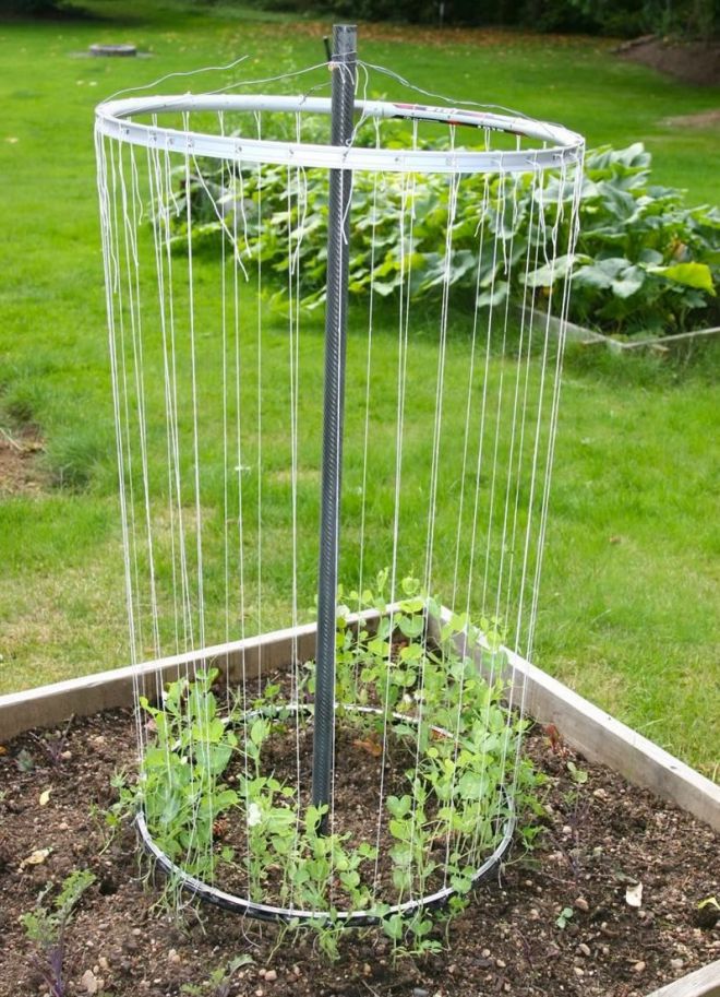 круглая опора для растений круглая опора для растений