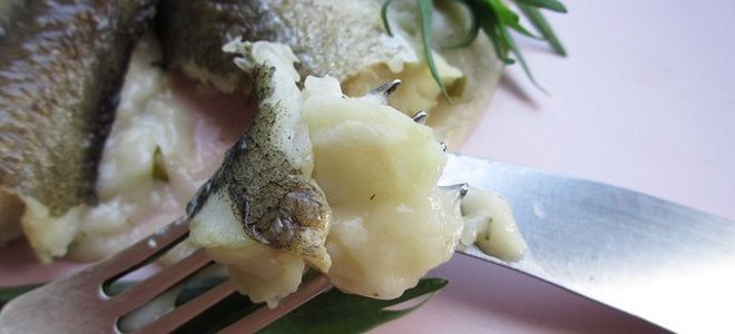 отварная рыба зубатка отварная рыба зубатка