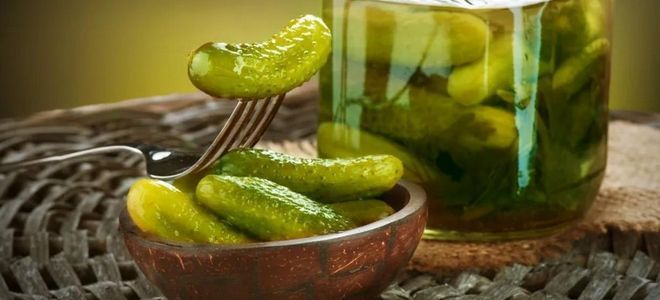 фото7 рецепт соления огурцов с горчицей