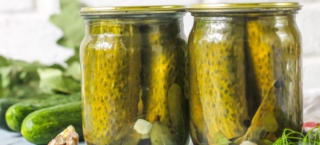соленые огурцы на зиму с лимонной кислотой соленые огурцы на зиму с лимонной кислотой