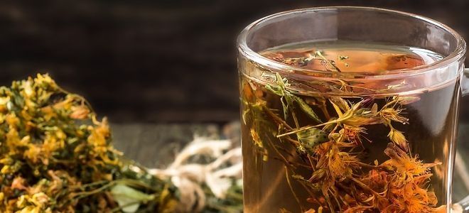 зверобой трава лечебные свойства для мужчин зверобой трава лечебные свойства для мужчин