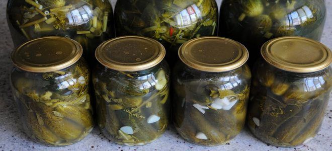 холодная засолка огурцов на зиму холодная засолка огурцов на зиму