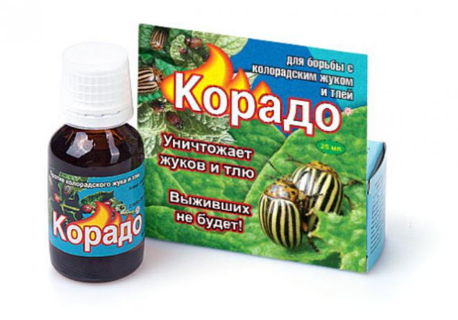 Корадо от луковой и морковной мухи Корадо от луковой и морковной мухи