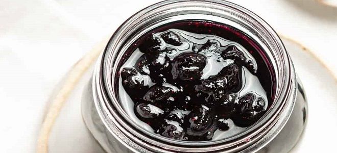 рецепт конфитюра из жимолости на зиму рецепт конфитюра из жимолости на зиму