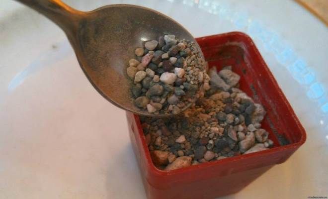 грунт для литопсов грунт для литопсов