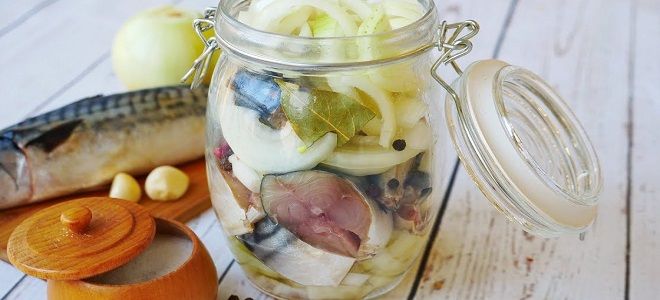 фото9 как засолить скумбрию в банке