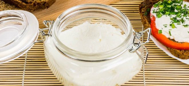 майонез на молоке майонез на молоке