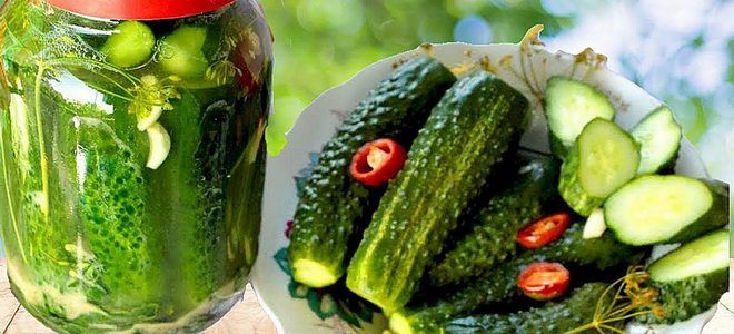 рецепт малосольных огурцов на зиму рецепт малосольных огурцов на зиму