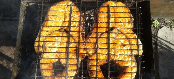 рыба зубатка на мангале рыба зубатка на мангале