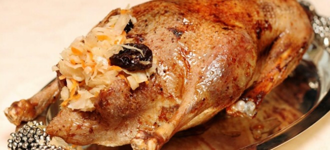 гусь с капустой и яблоками в духовке