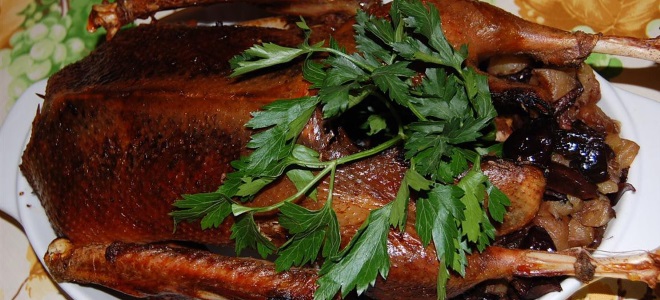 гусь с яблоками и черносливом