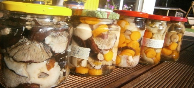 как хранить соленые грибы