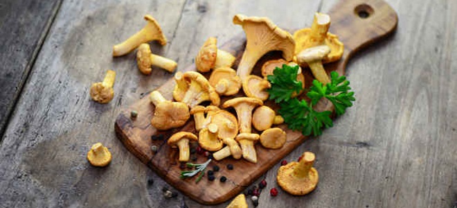 как солить грибы