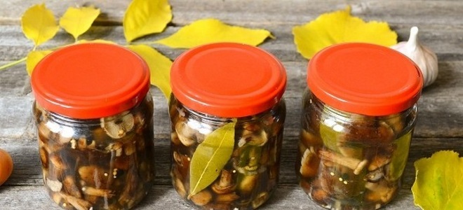 Маринованные опята с уксусом
