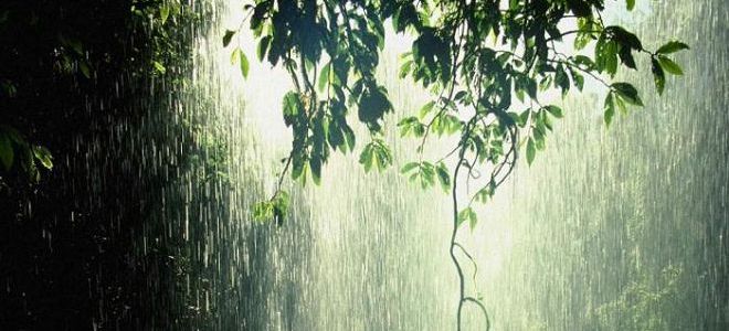 попасть под дождь во сне