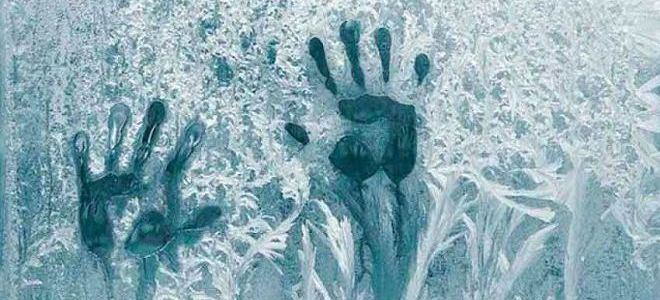 правовой нигилизм