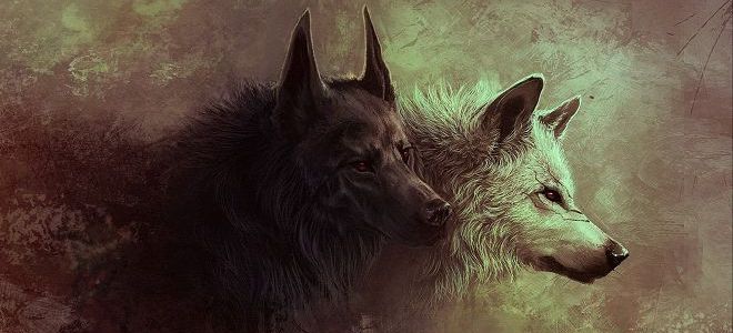 причины правового нигилизма