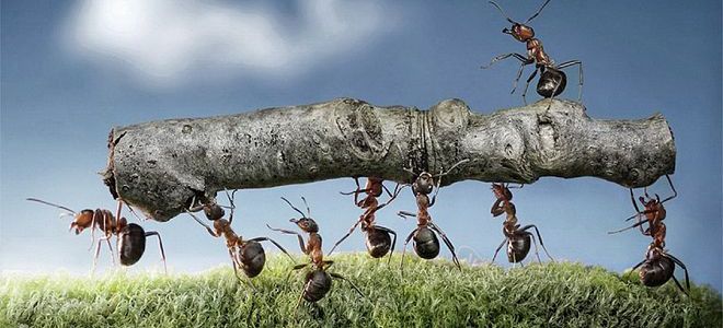 признаки командной экономики