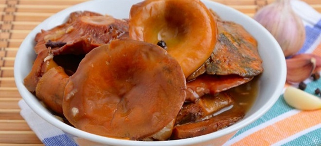 соленые грибы под гнетом