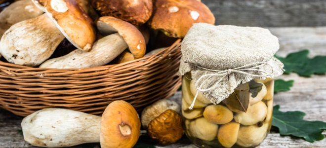 засолка грибов горячим способом в банки