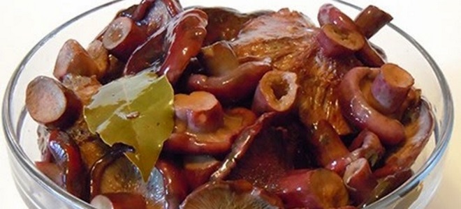 засолка грибов на зиму холодным способом рецепт