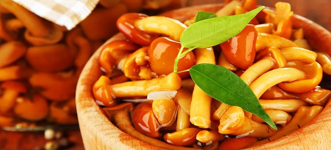 засолка замороженных грибов