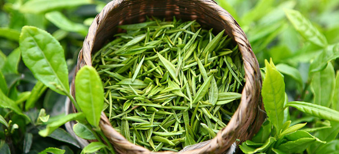 зеленый чай для желудка